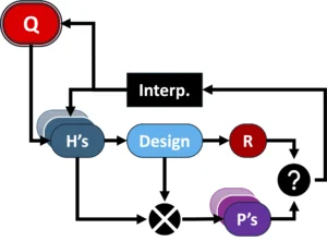 Flowchart summarizing the question-driven scientific process, going from Question to Hypotheses to Study Design to Results and Predictions to Interpretation back to Hypotheses and Question.
